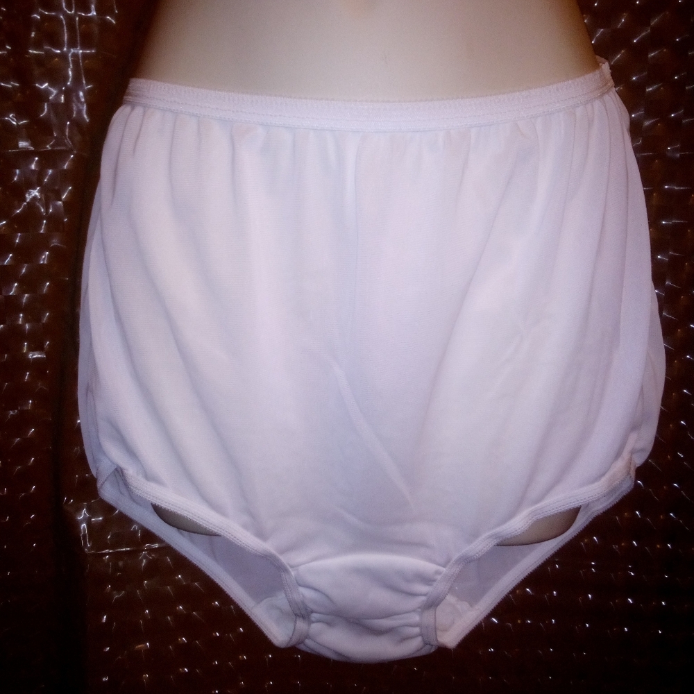 Vintage Dixie Belle Nylon Panties Size 8 41-43 Hips